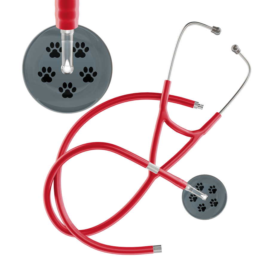 Black Paw Print Dark Background Cardiology Stethoscope