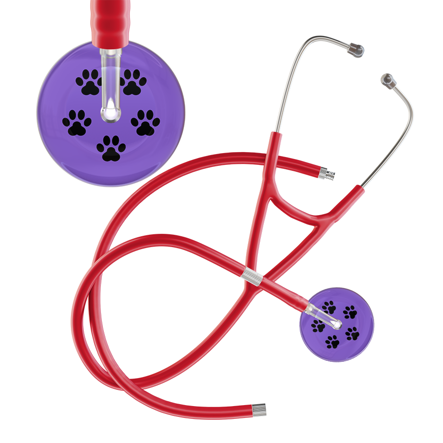 Black Paw Print Light Background Cardiology Stethoscope