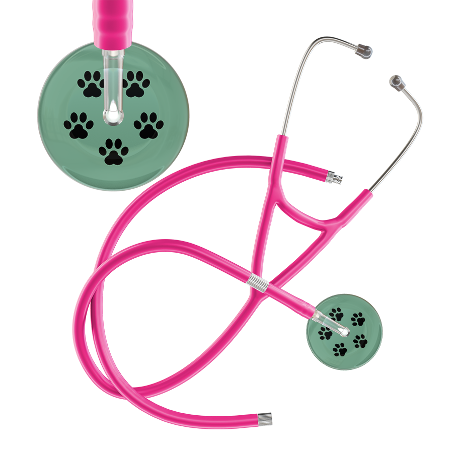 Black Paw Print Light Background Cardiology Stethoscope