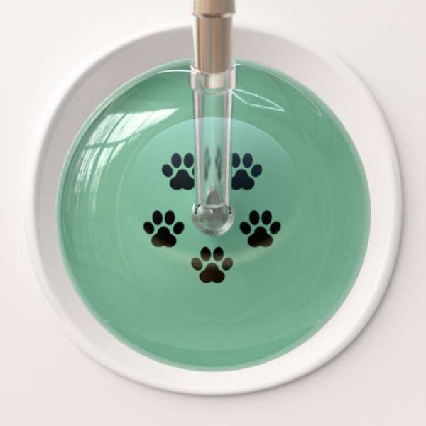 Ultrascope Stethoscope Head Black Paw Sage Background / Adult Paw Print Stethoscope Head