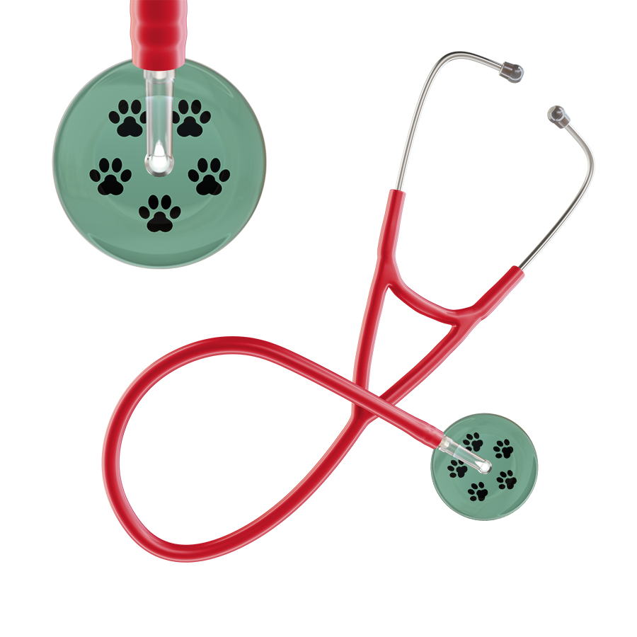 Black Paw Print Light Background Cardiology Stethoscope