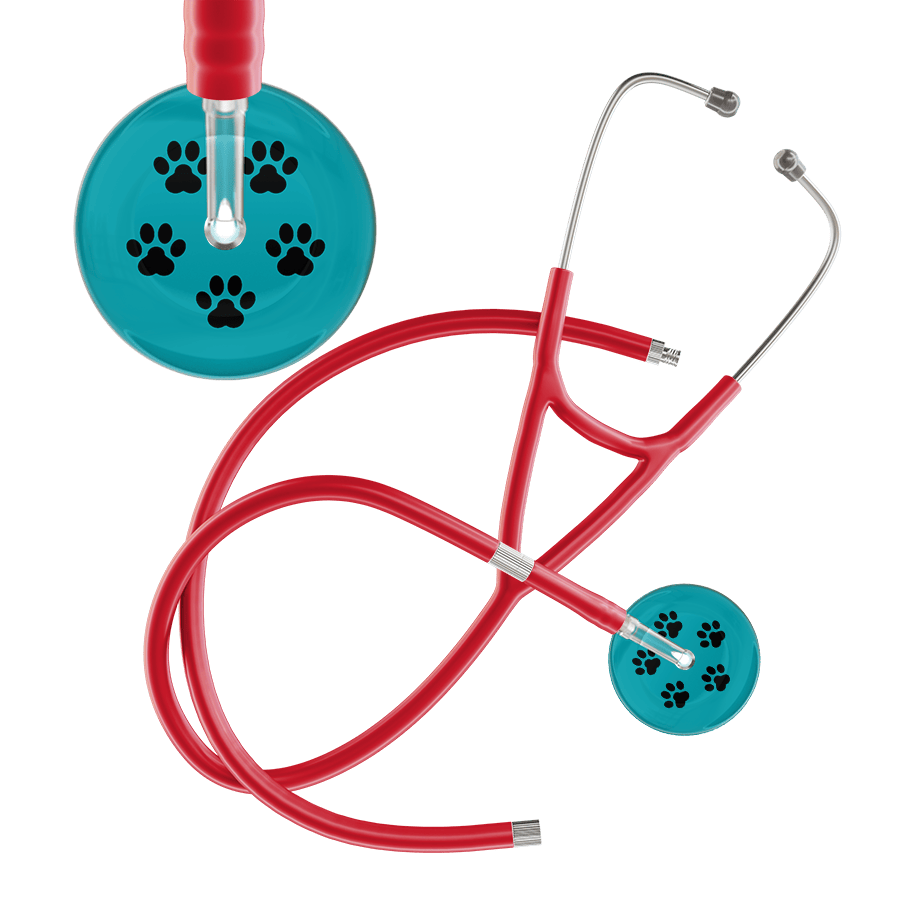 Black Paw Print Dark Background Cardiology Stethoscope