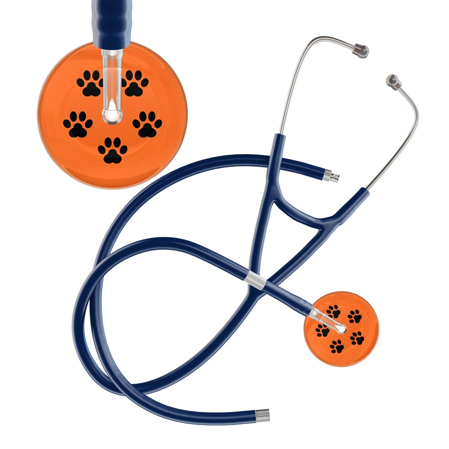Black Paw Print Dark Background Cardiology Stethoscope