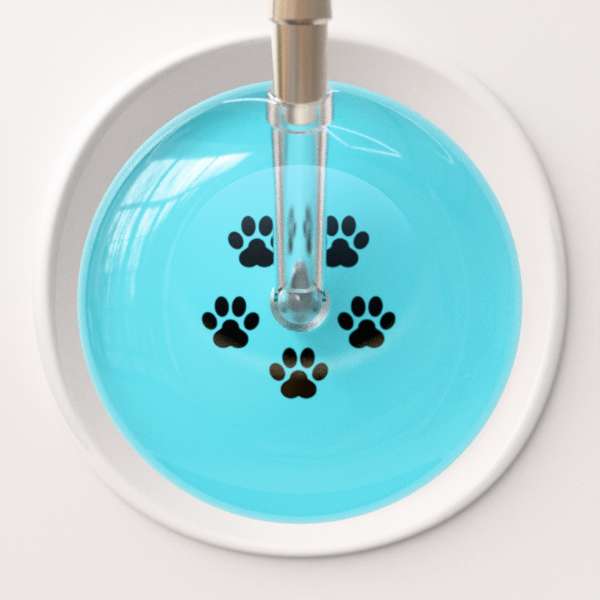 Ultrascope Stethoscope Head Black Paw Turquoise Background / Adult Paw Print Stethoscope Head