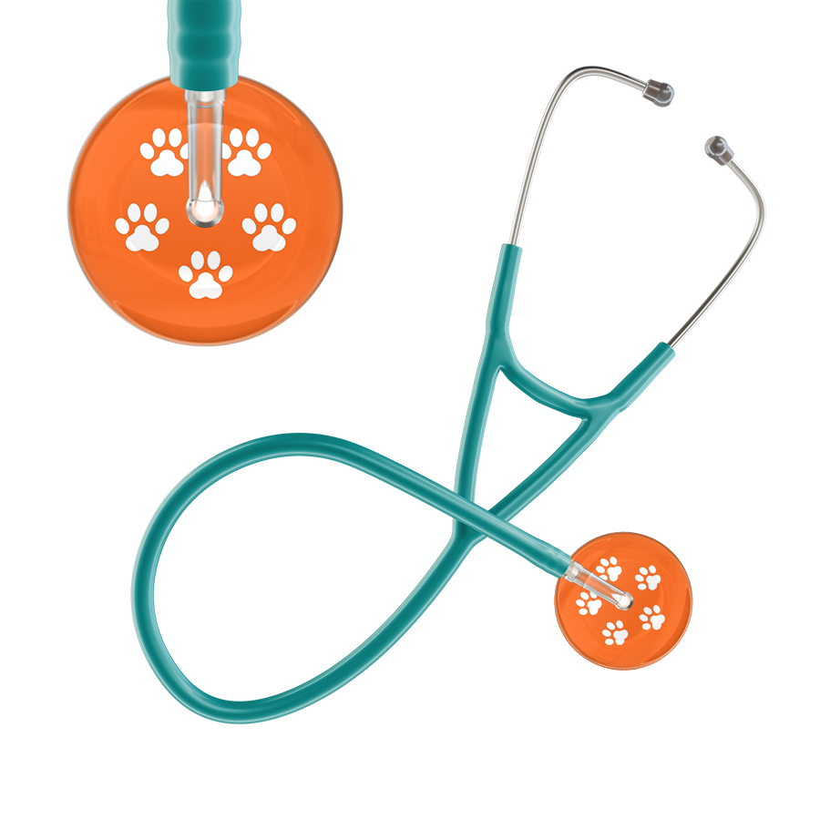 White Paw Print Dark Background Cardiology Stethoscope
