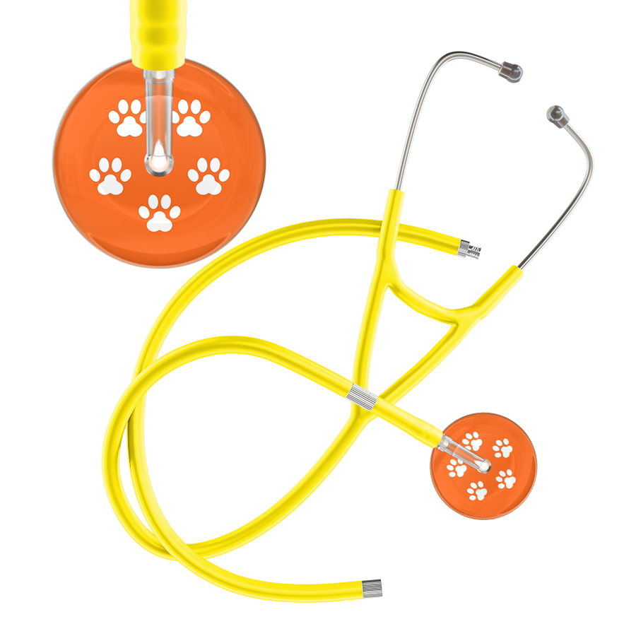 White Paw Print Dark Background Cardiology Stethoscope