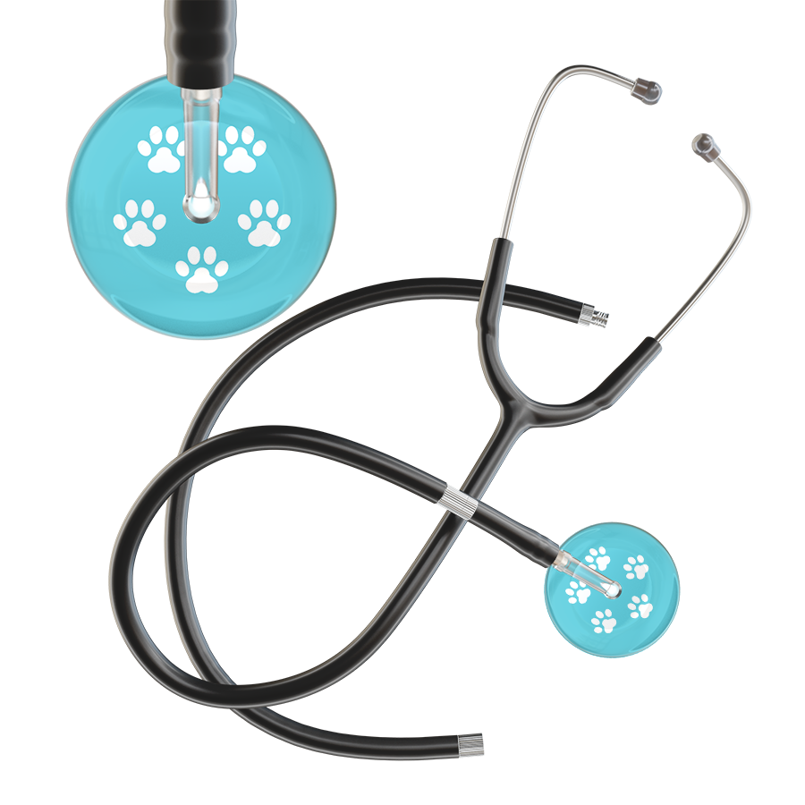 White Paw Print Light Background Stethoscope