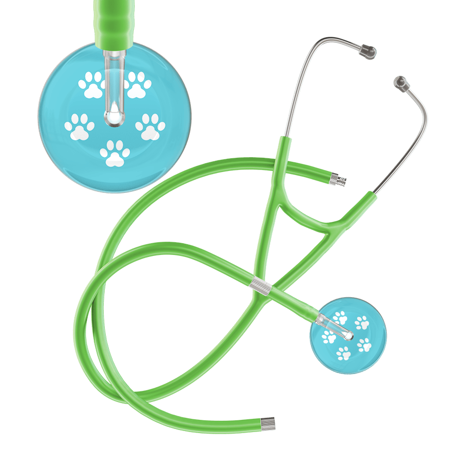 Ultrascope Single Stethoscope White Paw Turquoise Background / Adult / Lime Green Extended Tubing White Paw Print Light Background Cardiology Stethoscope