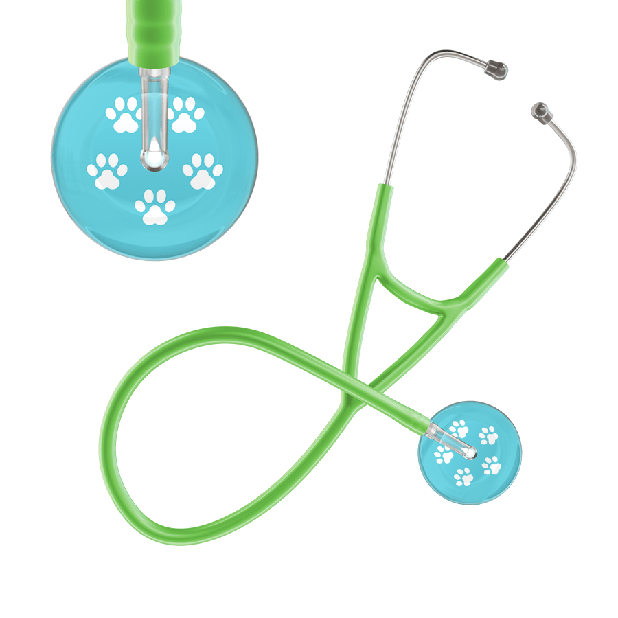 Ultrascope Single Stethoscope White Paw Turquoise Background / Adult / Lime Green White Paw Print Light Background Cardiology Stethoscope