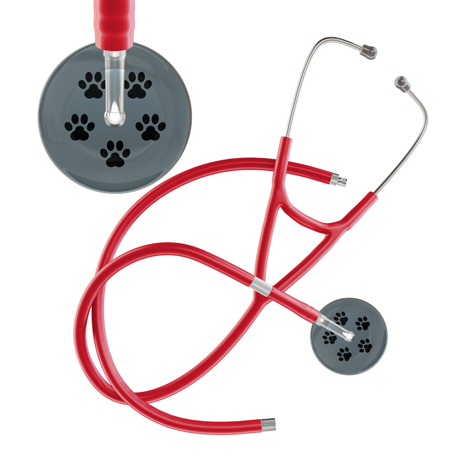 Black Paw Print Dark Background Cardiology Stethoscope