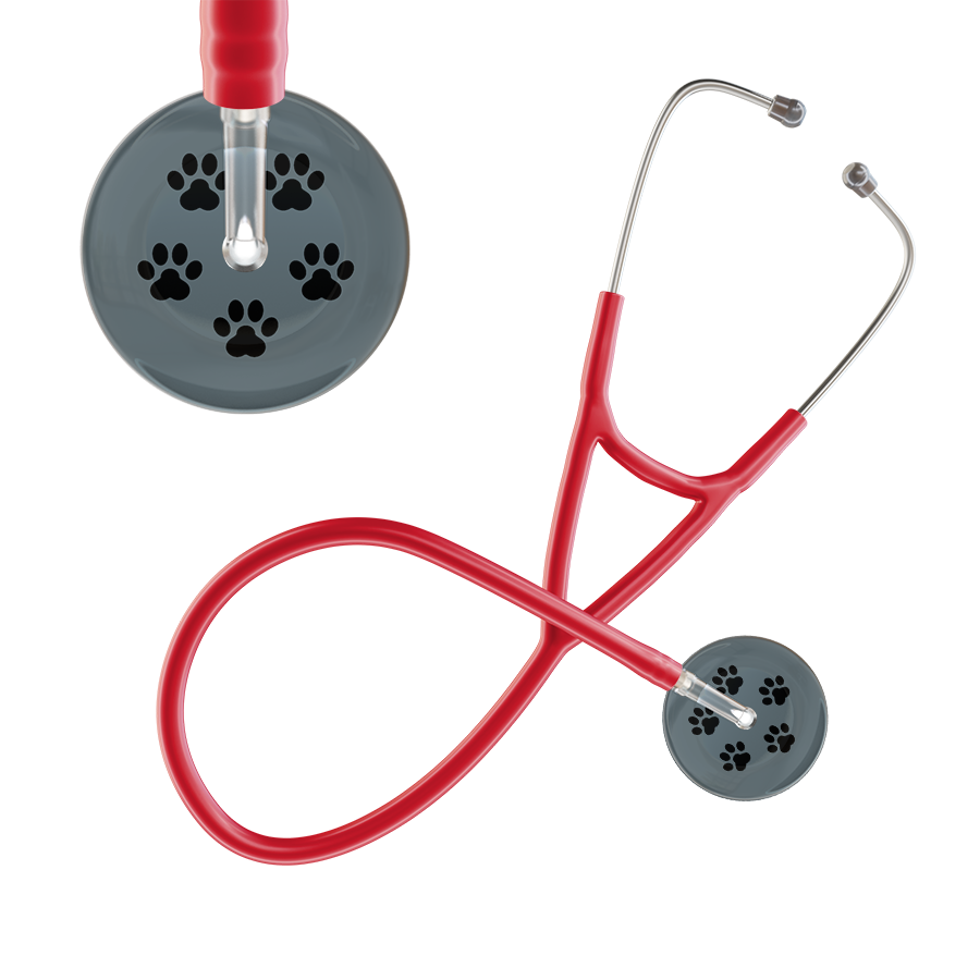 Black Paw Print Dark Background Cardiology Stethoscope