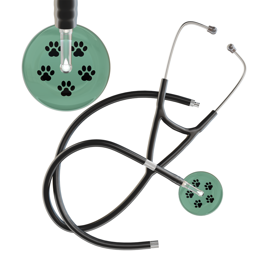 Black Paw Print Light Background Cardiology Stethoscope