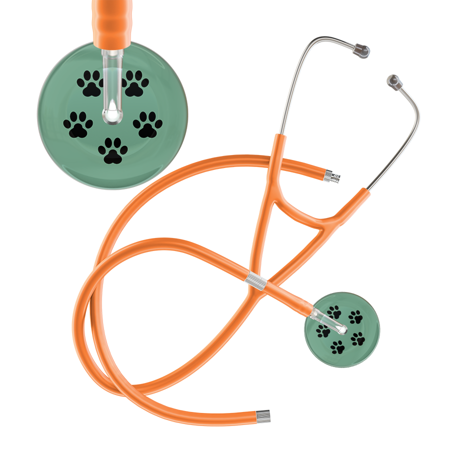 Black Paw Print Light Background Cardiology Stethoscope
