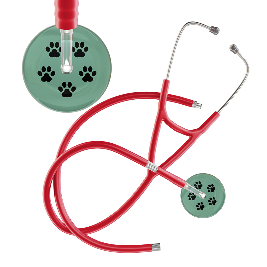 Black Paw Print Light Background Cardiology Stethoscope