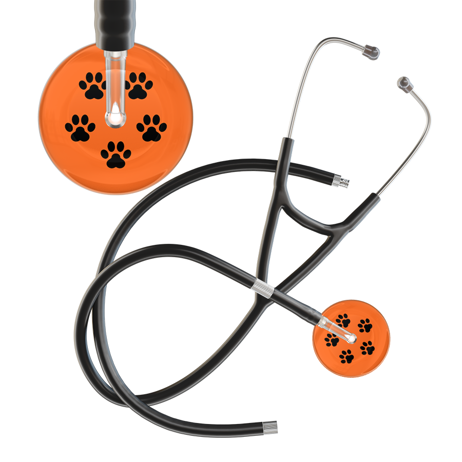 Black Paw Print Dark Background Cardiology Stethoscope