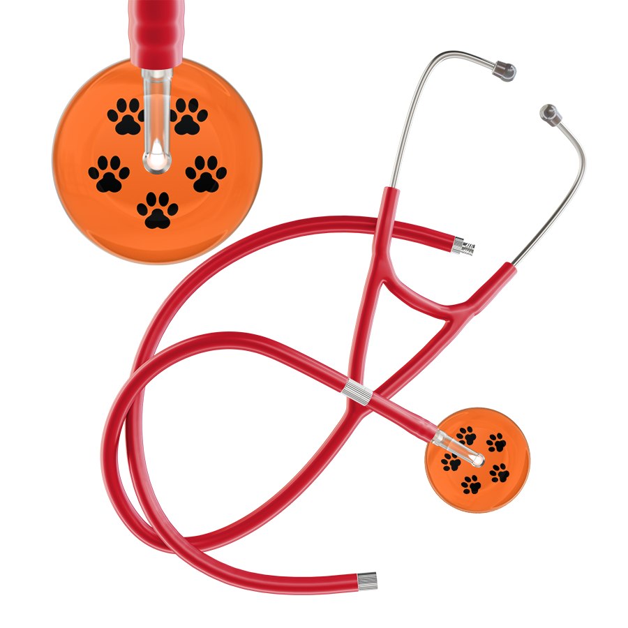 Black Paw Print Dark Background Cardiology Stethoscope