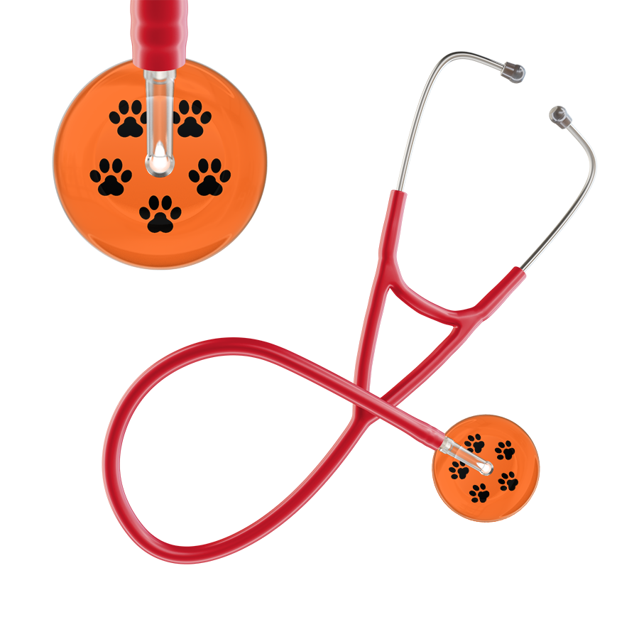 Black Paw Print Dark Background Cardiology Stethoscope