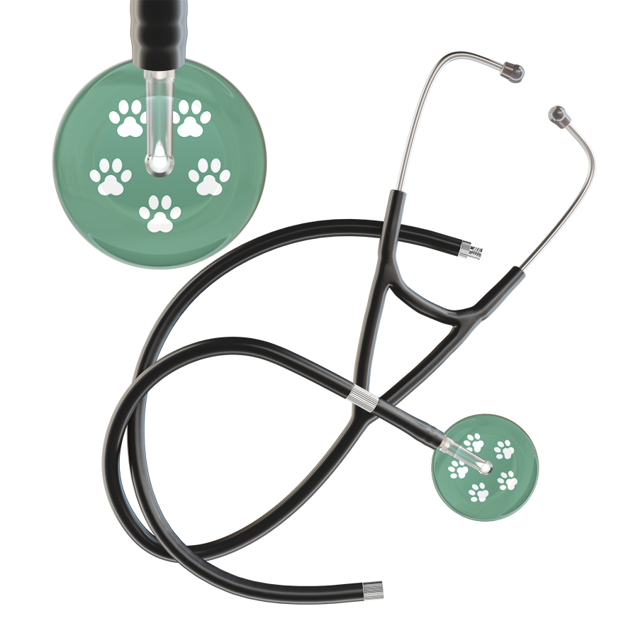 White Paw Print Light Background Cardiology Stethoscope