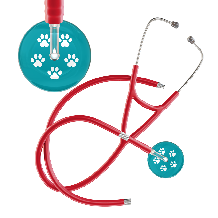 White Paw Print Dark Background Cardiology Stethoscope