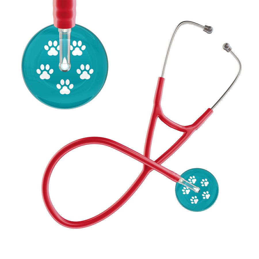 White Paw Print Dark Background Cardiology Stethoscope
