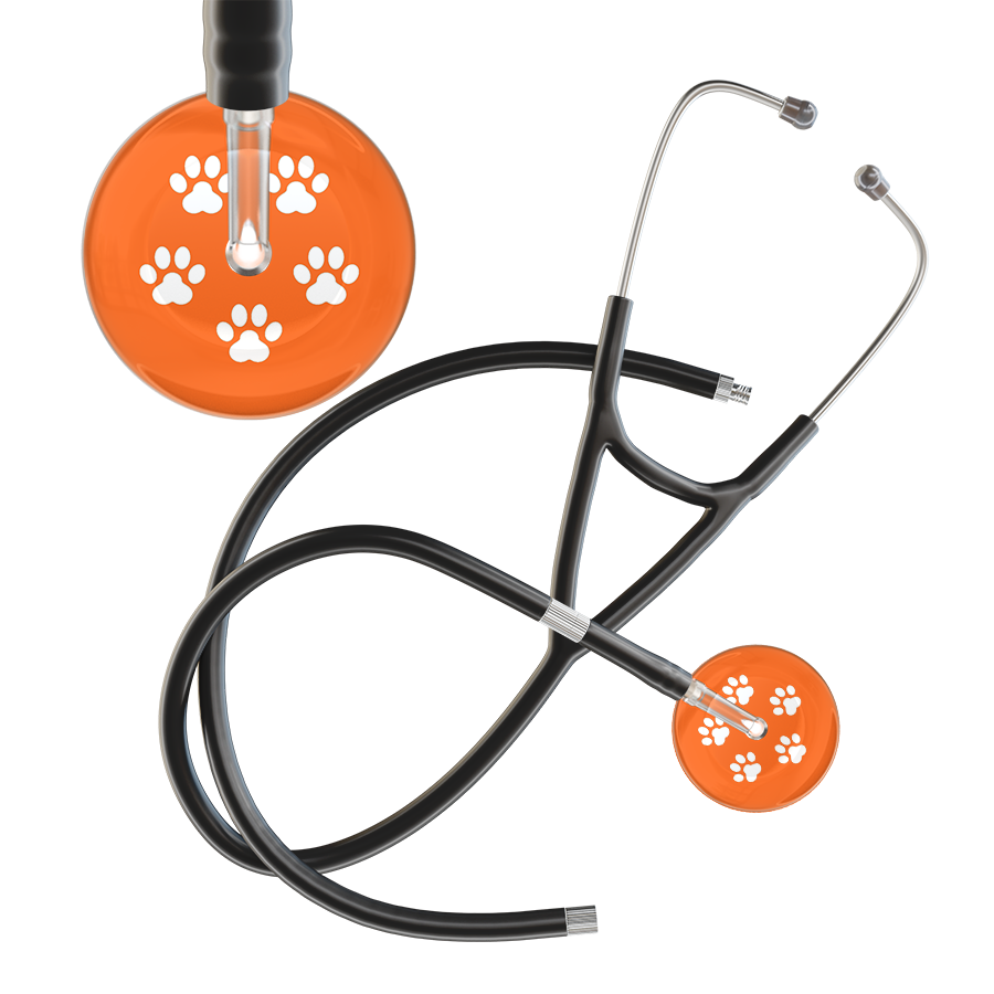 White Paw Print Dark Background Cardiology Stethoscope