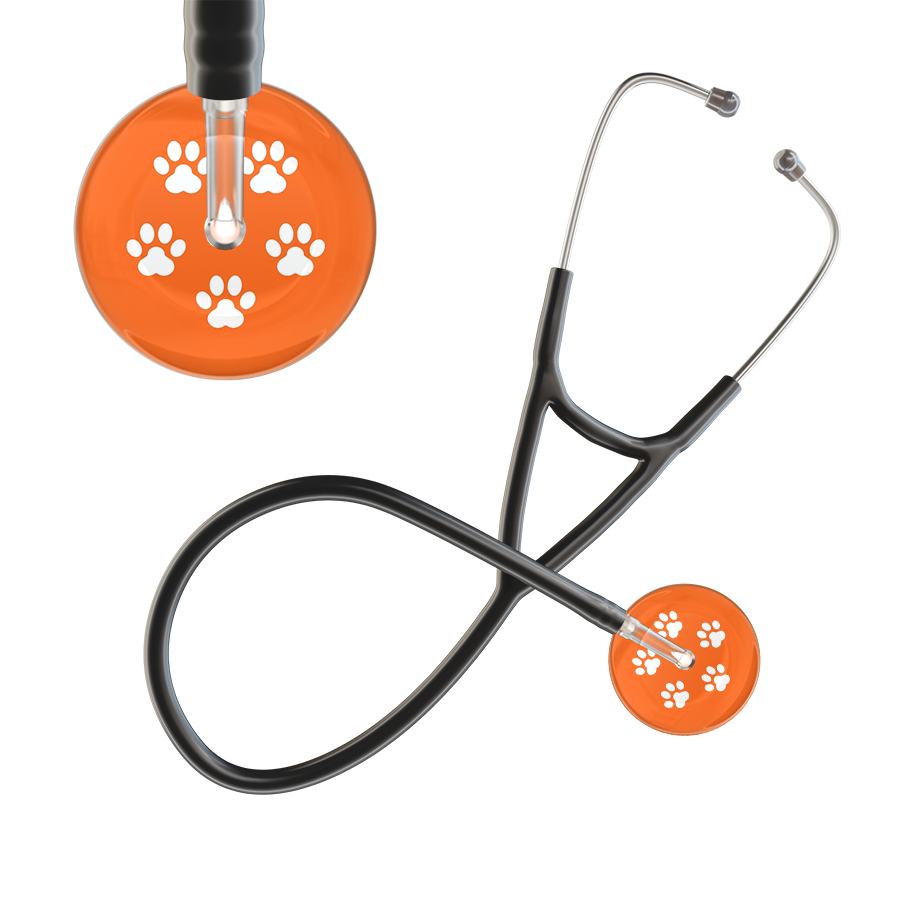 White Paw Print Dark Background Cardiology Stethoscope