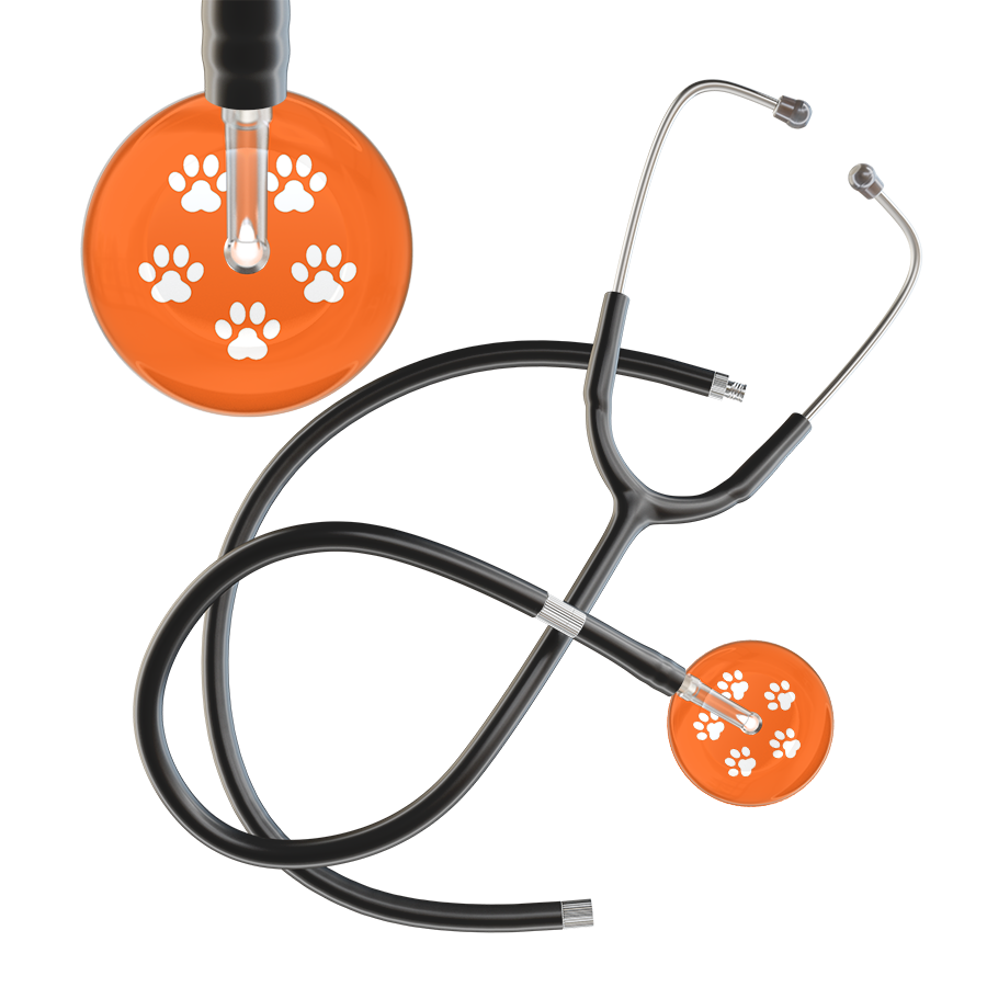 White Paw Print Dark Background Stethoscope