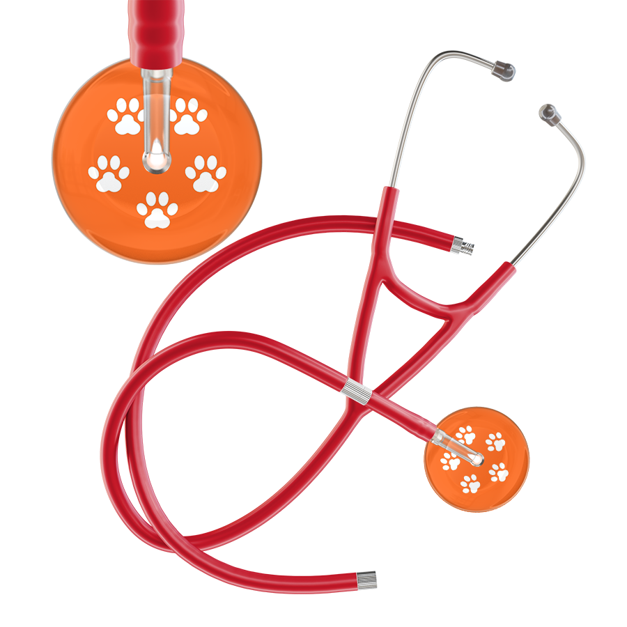 White Paw Print Dark Background Cardiology Stethoscope