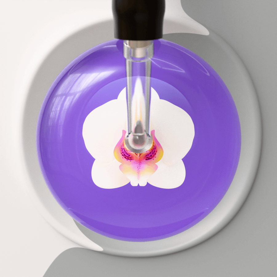 Orchid Stethoscope