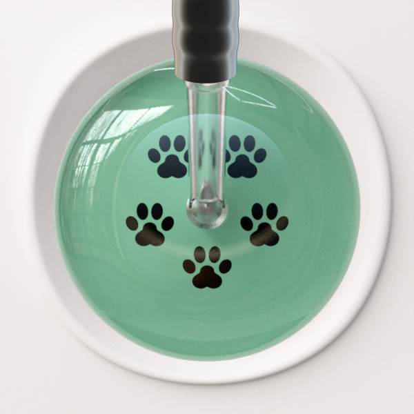 Black Paw Print Light Background Cardiology Stethoscope