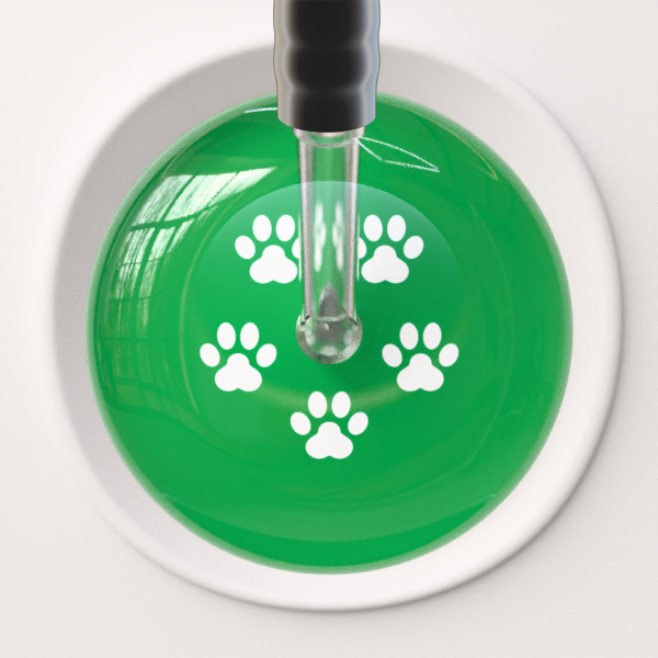 White Paw Print Dark Background Cardiology Stethoscope