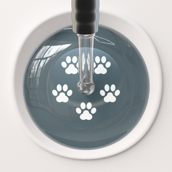 White Paw Print Dark Background Stethoscope