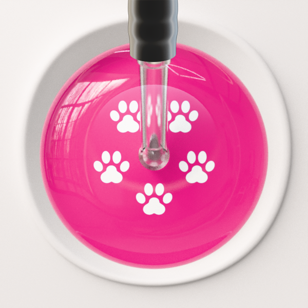 White Paw Print Light Background Cardiology Stethoscope