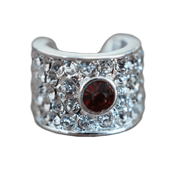 Ultrascope Charm January (Garnet) Stethoscope Charm